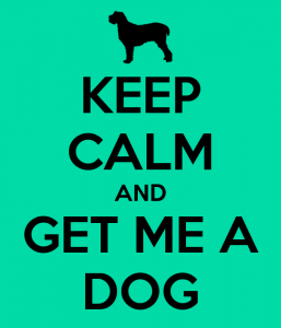keep-calm-and-get-me-a-dog-3